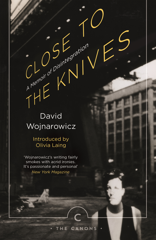 Паперова книга «Close to the Knives. A Memoir of Disintegration», автор Девід Войнарович - фото №1