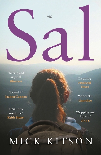 Бумажная книга «Sal», автор Мик Китсон - фото №1