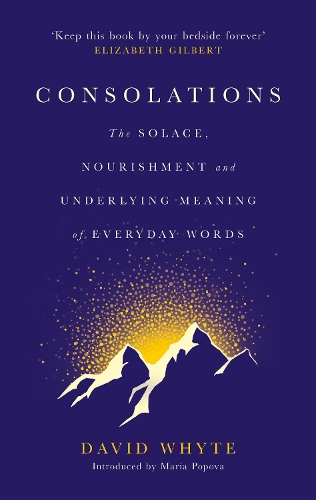 Бумажная книга «Consolations: The Solace, Nourishment and Underlying Meaning of Everyday Words», автор Дэвид Уайт - фото №1