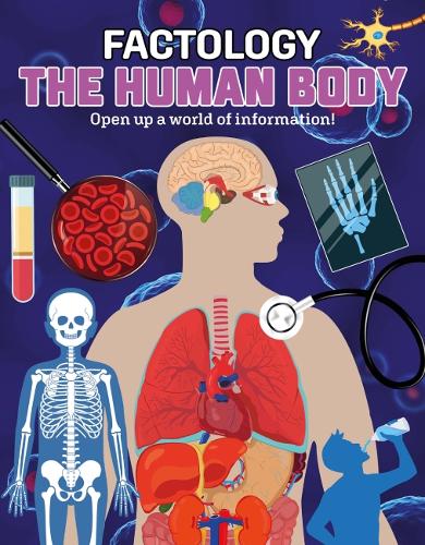 Бумажная книга «Factology: The Human Body: Open Up a World of Information!», автор Button Books - фото №1