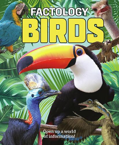 Бумажная книга «Factology: Birds: Open Up a World of Information!» - фото №1
