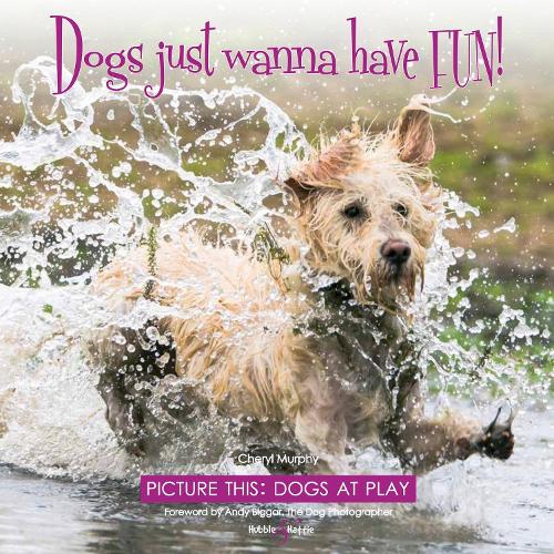 Паперова книга «Dogs Just Wanna Have Fun!: Picture This: Dogs at Play», автор Шеріл Мерфі - фото №1