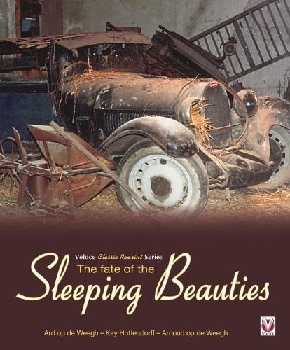 Паперова книга «The Fate of the Sleeping Beauties», автор Ард оп де Вег - фото №1