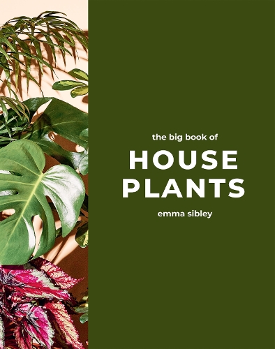 Паперова книга «The Big Book of House Plants», автор Емма Сіблі - фото №1