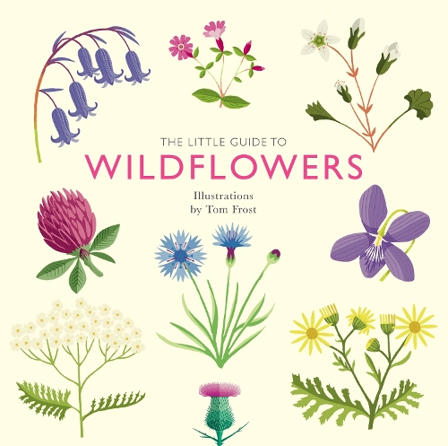 Бумажная книга «The Little Guide to Wildflowers», автор Элисон Дейвис - фото №1