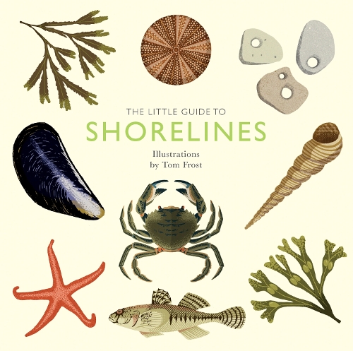 Бумажная книга «The Little Guide to Shorelines», автор Элисон Дейвис - фото №1