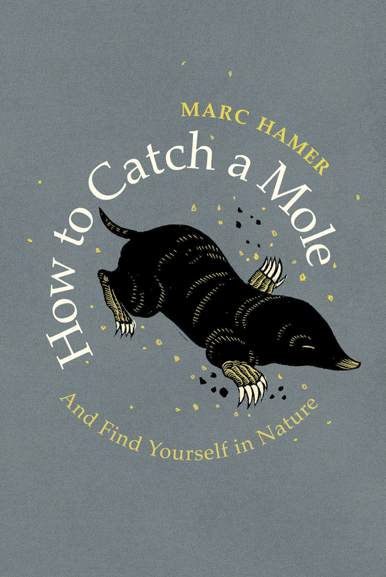 Бумажная книга «How to Catch a Mole», автор Марк Хамер - фото №1