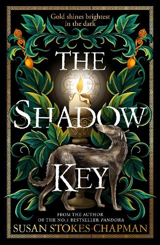 Бумажная книга «The Shadow Key», автор Сьюзан Стоукс-Чэпмен - фото №1