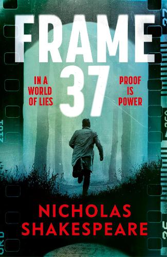Паперова книга «Frame 37», автор Ніколас Шекспір - фото №1