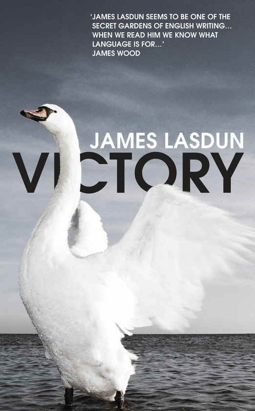 Бумажная книга «Victory», автор Джеймс Ласдун - фото №1
