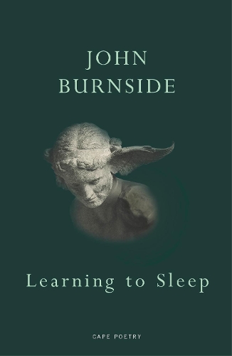 Бумажная книга «Learning to Sleep», автор Джон Бернсайд - фото №1