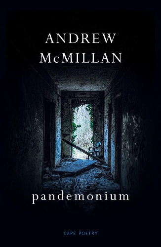 Бумажная книга «pandemonium», автор Эндрю Макмиллан - фото №1
