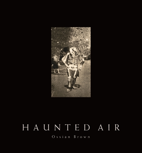 Бумажная книга «Haunted Air» - фото №1