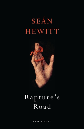 Бумажная книга «Rapture's Road: From the author of All Down Darkness Wide», автор Шон Хьюитт - фото №1