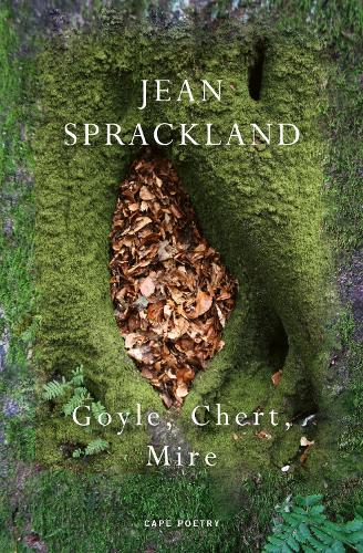 Бумажная книга «Goyle, Chert, Mire», автор Жан Спрэклэнд - фото №1