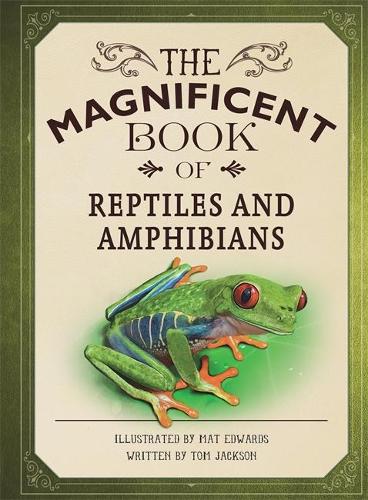 Бумажная книга «The Magnificent Book of Reptiles and Amphibians», автор Том Джексон - фото №1
