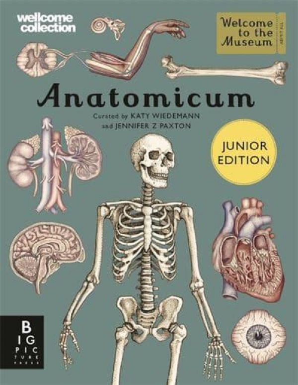 [object Object] «Anatomicum Junior», автор Дженнифер Пакстон - фото №1
