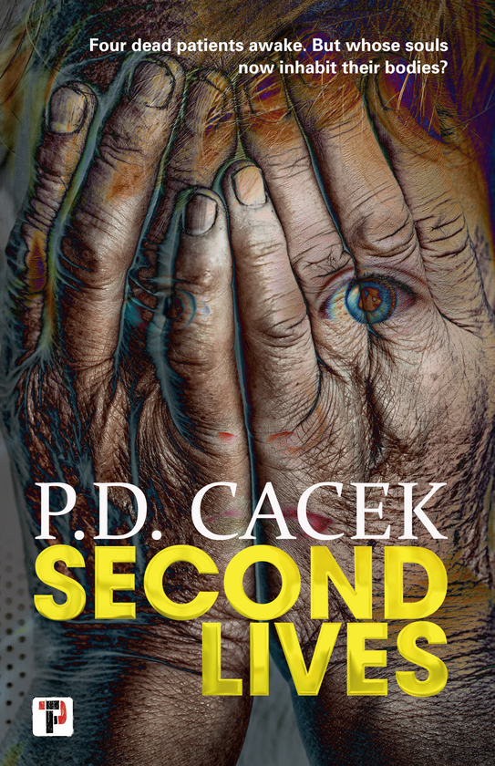 Паперова книга «Second Lives», автор P.Д. Качек - фото №1