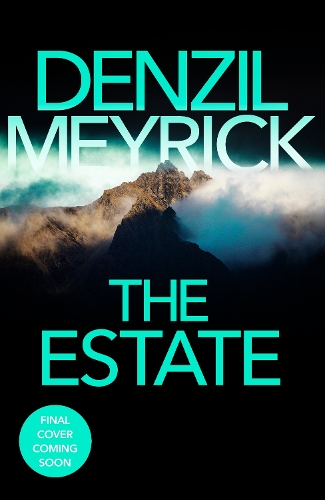 Бумажная книга «The Estate», автор Дензил Мейрик - фото №1