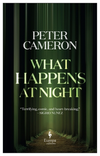 Паперова книга «What Happens at Night», автор Пітер Кемерон - фото №1