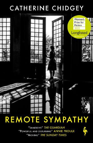Бумажная книга «Remote Sympathy: LONGLISTED FOR THE WOMEN'S PRIZE FOR FICTION 2022», автор Катрин Чиджи - фото №1