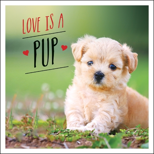 Бумажная книга «Love is a Pup: A Dog-Tastic Celebration of the World's Cutest Puppies», автор Чарли Эллис - фото №1