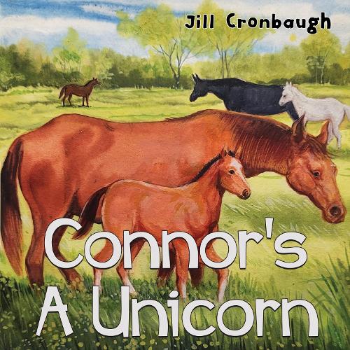 Паперова книга «Connor's A Unicorn», автор Джилл А. Кронбо - фото №1