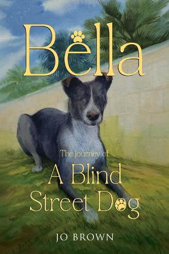 Бумажная книга «Bella, the journey of A Blind Street Dog», автор Джо Браун - фото №1