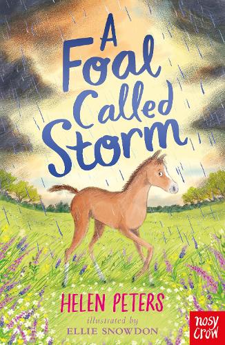 Бумажная книга «A Foal Called Storm», автор Хелен Питерс - фото №1