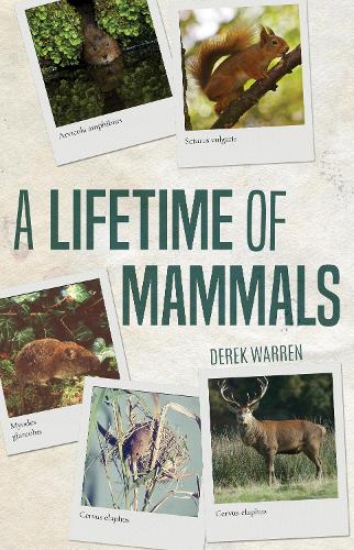 Бумажная книга «A Lifetime of Mammals», автор Дерек Уоррен - фото №1