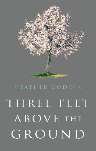 Бумажная книга «Three Feet Above the Ground», автор Хизер Годдин - фото №1