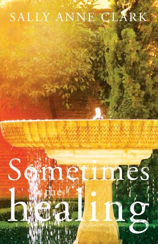 Паперова книга «Sometimes the healing», автор Саллі-Енн Кларк - фото №1
