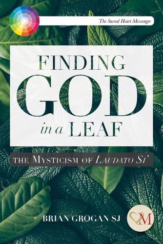 Бумажная книга «Finding God in a Leaf: The Mysticism of Laudato Si'», автор Брайан Гроган - фото №1