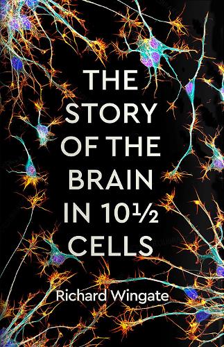 [object Object] «The Story of the Brain in 10½ Cells», автор Ричард Уингейт - фото №1