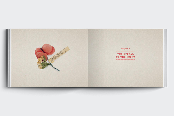 Бумажная книга «We Are The Legion. The Royal British Legion at 100», автор Джули Саммерс - фото №1