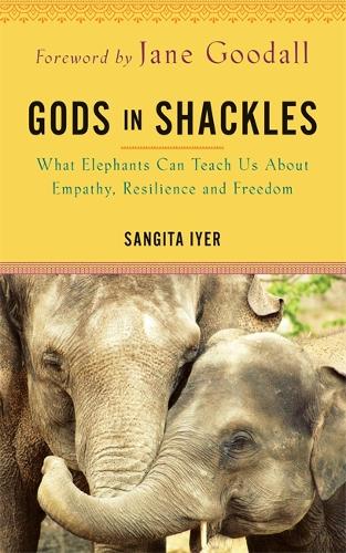 Паперова книга «Gods in Shackles: What Elephants Can Teach Us About Empathy, Resilience and Freedom», автор Сангіта Ієр - фото №1