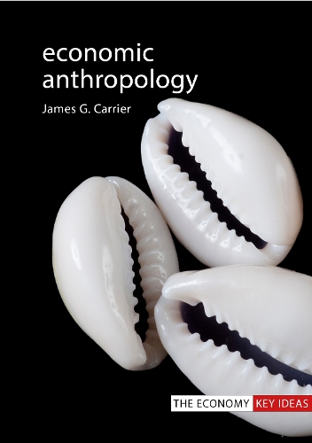 Бумажная книга «Economic Anthropology», автор Джеймс Г. Кэрриер - фото №1