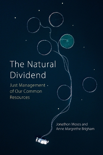 Паперова книга «The Natural Dividend: Just Management of our Common Resources», авторів Енн Маргрет Брігхем, Джонатон Мозес - фото №1