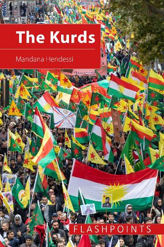 Бумажная книга «The Kurds: The Struggle for National Identity and Statehood», автор Мандана Хендесси - фото №1