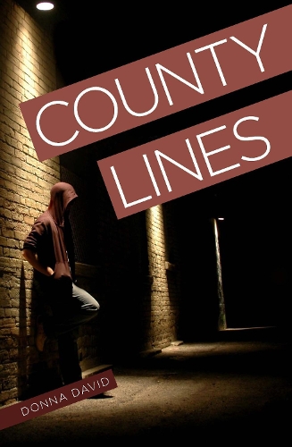 Бумажная книга «County Lines», автор Донна Дэвид - фото №1