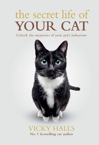Бумажная книга «The Secret Life Of Your Cat», автор Вики Холлс - фото №1
