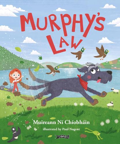 Паперова книга «Murphy's Law», автор Муйран ні Чіобхайн - фото №1