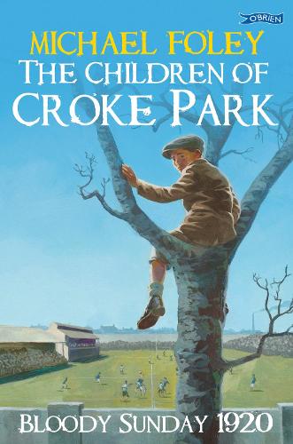 Бумажная книга «The Children of Croke Park: Bloody Sunday 1920», автор Майкл Фоли - фото №1