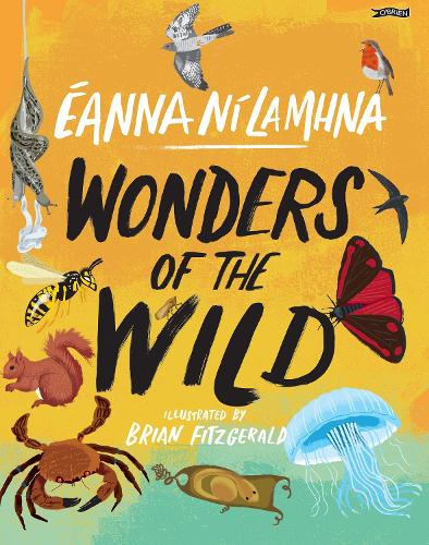Бумажная книга «Wonders of the Wild», автор Эанна Ни Ламхна - фото №1