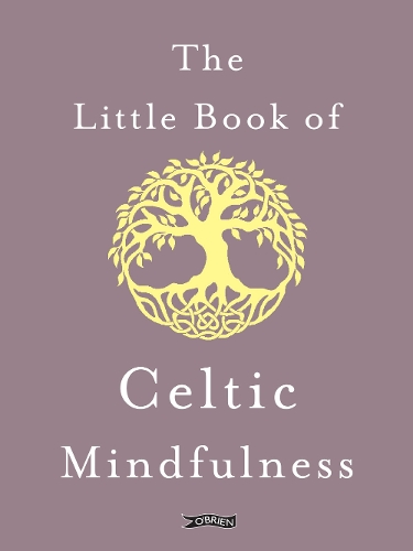 Паперова книга «The Little Book of Celtic Mindfulness», автор Сара Берн - фото №1