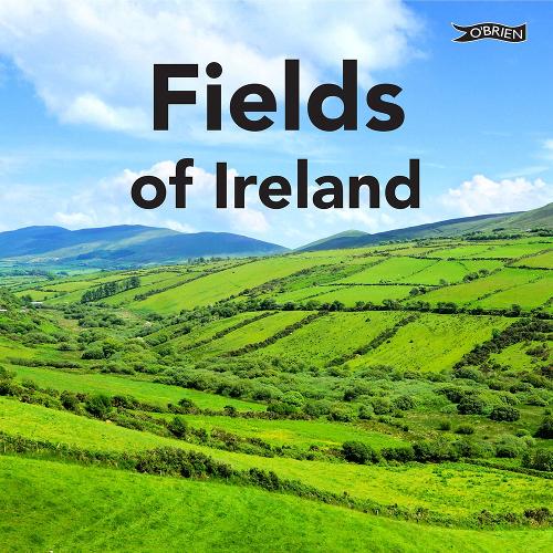 Паперова книга «Fields of Ireland», автор Сара О'Коннор - фото №1
