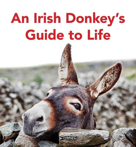 Бумажная книга «An Irish Donkey’s Guide to Life», автор Сара О'Коннор - фото №1
