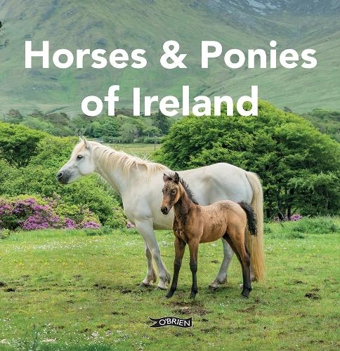 Бумажная книга «Horses and Ponies of Ireland», автор Сара О'Коннор - фото №1