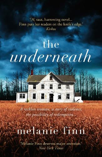 Паперова книга «The Underneath», автор Мелані Фінн - фото №1