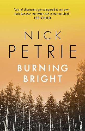 Бумажная книга «Burning Bright», автор Ник Петри - фото №1
